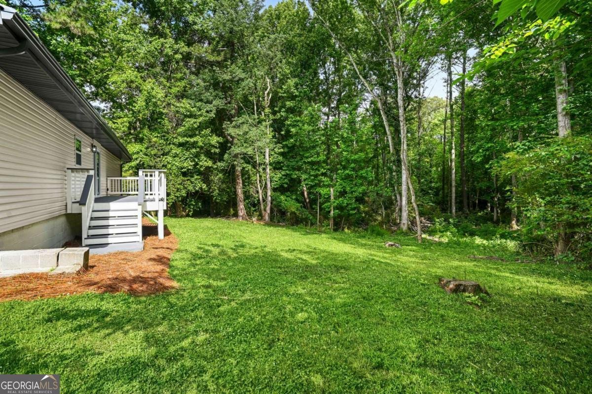 676 Hog Liver Road Carrollton - Photo 33