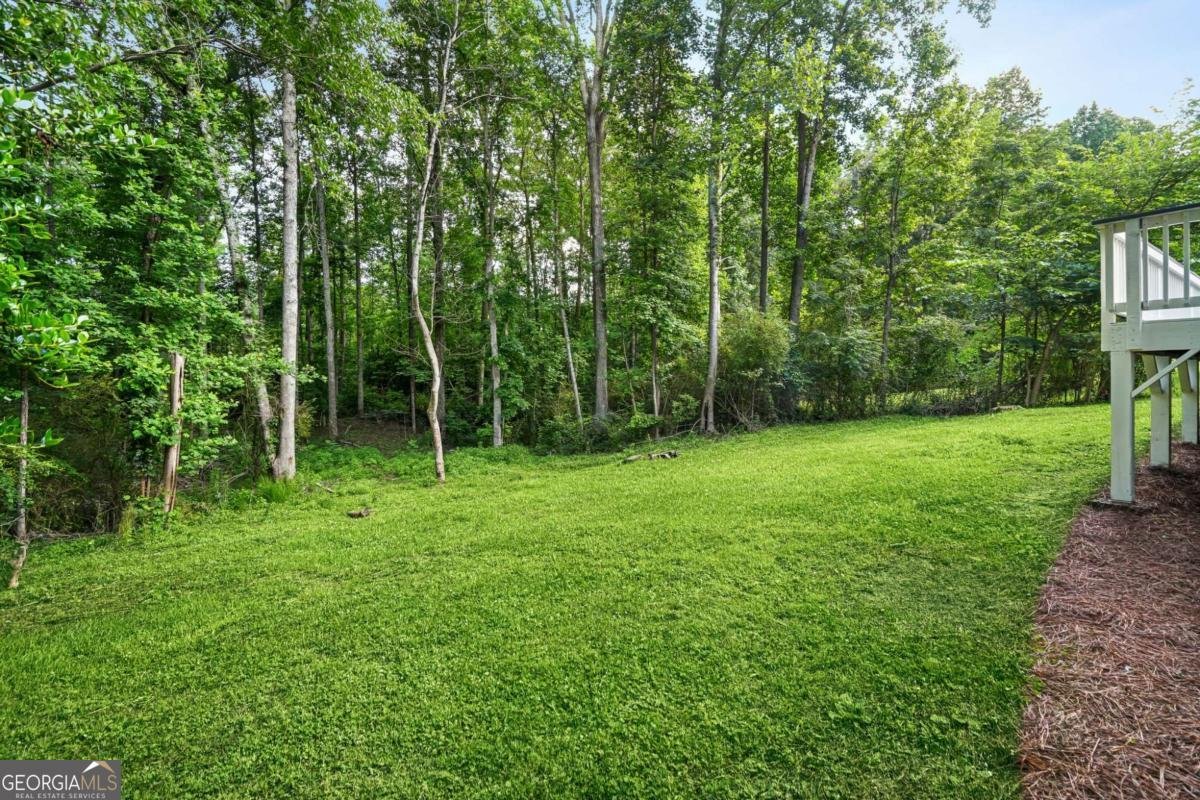 676 Hog Liver Road Carrollton - Photo 34