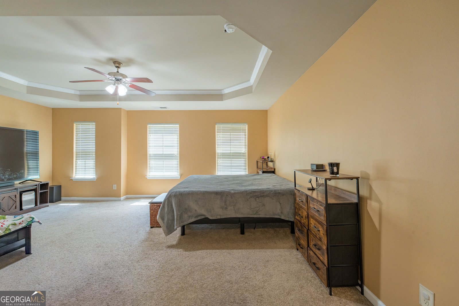 521 Sweet Ashley Way Loganville - Photo 20