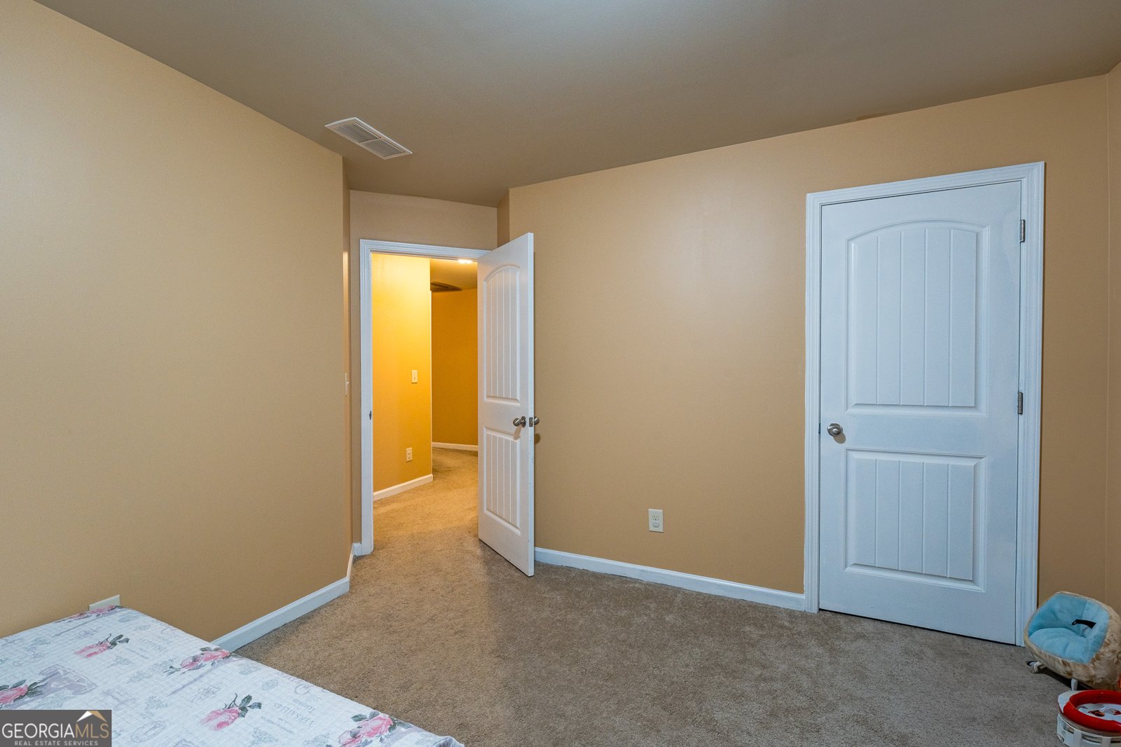 521 Sweet Ashley Way Loganville - Photo 29