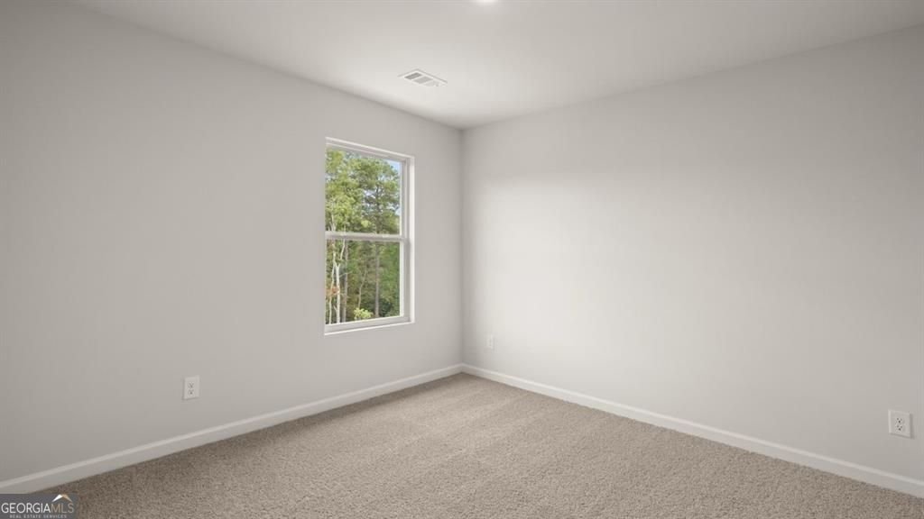 66 Biltmore Place Braselton - Photo 25