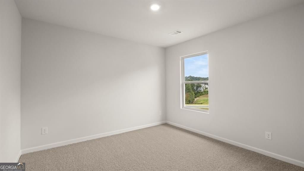 66 Biltmore Place Braselton - Photo 27