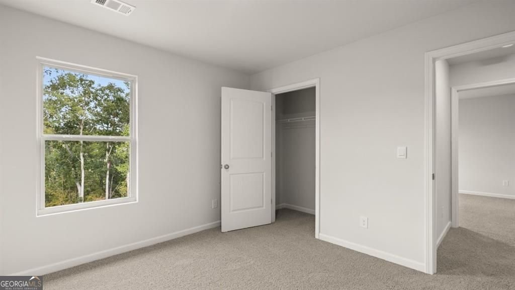 46 Biltmore Place Braselton - Photo 28
