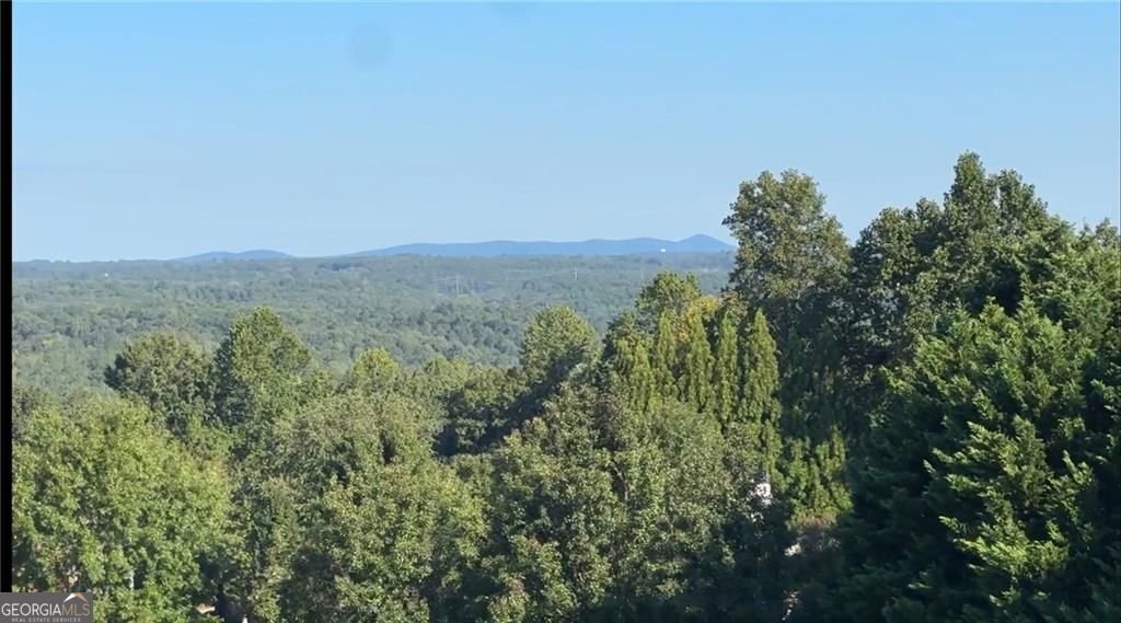 115 Mountain Falls Way Canton - Photo 55