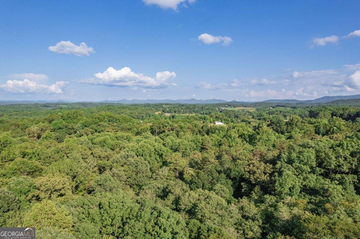 270 Stone Lane Blue Ridge - Photo 62