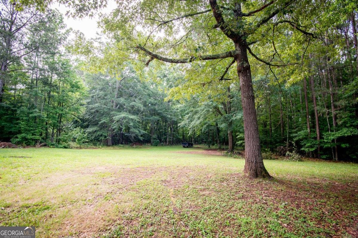 1061 Old Salem Road Watkinsville - Photo 37