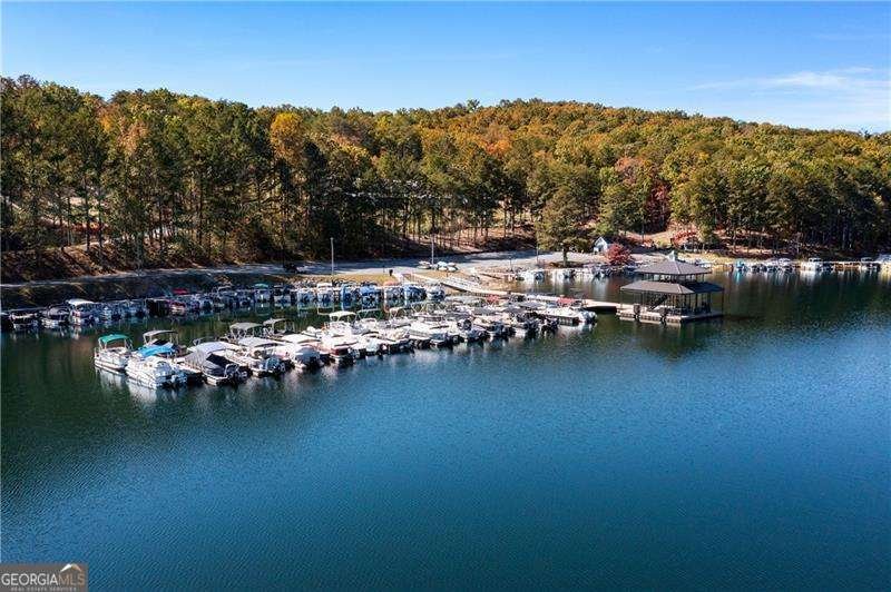 169 Waterview Court Waleska - Photo 26