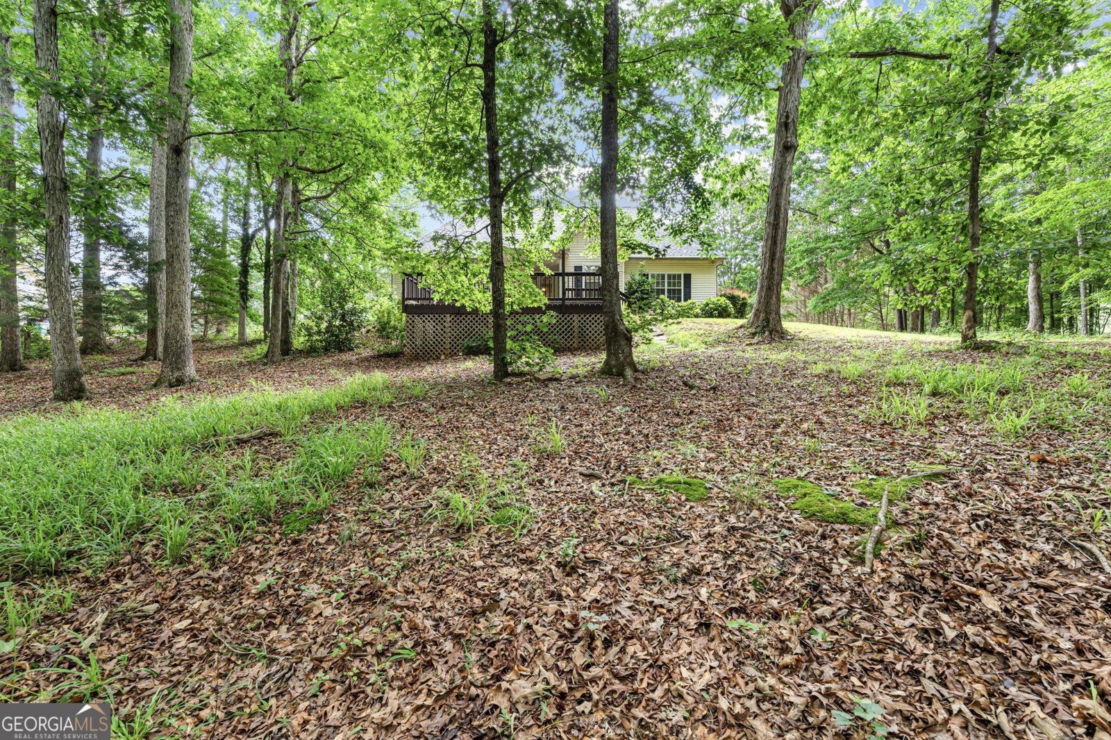 107 Rainwater Court McDonough - Photo 43