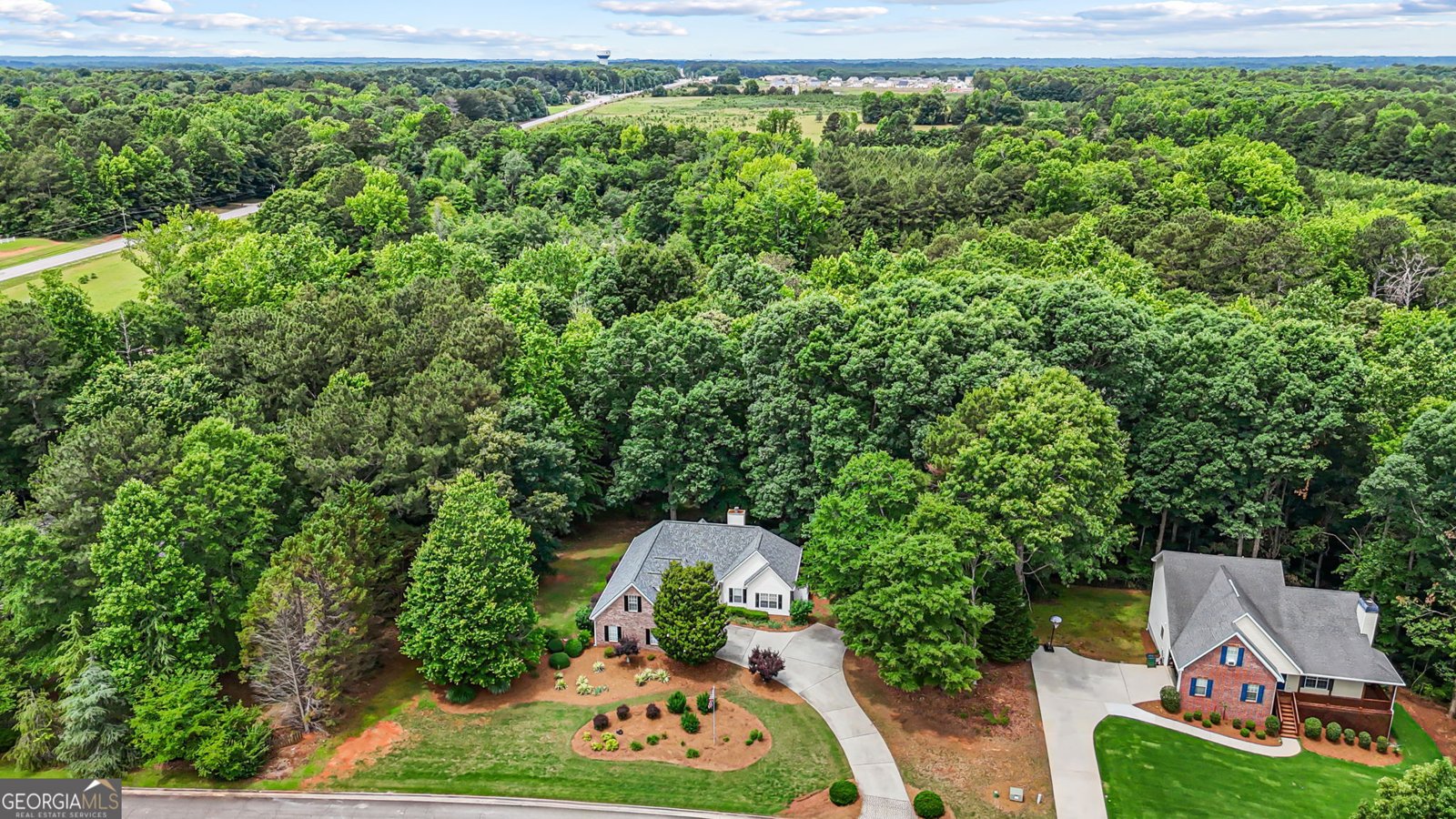107 Rainwater Court McDonough - Photo 49