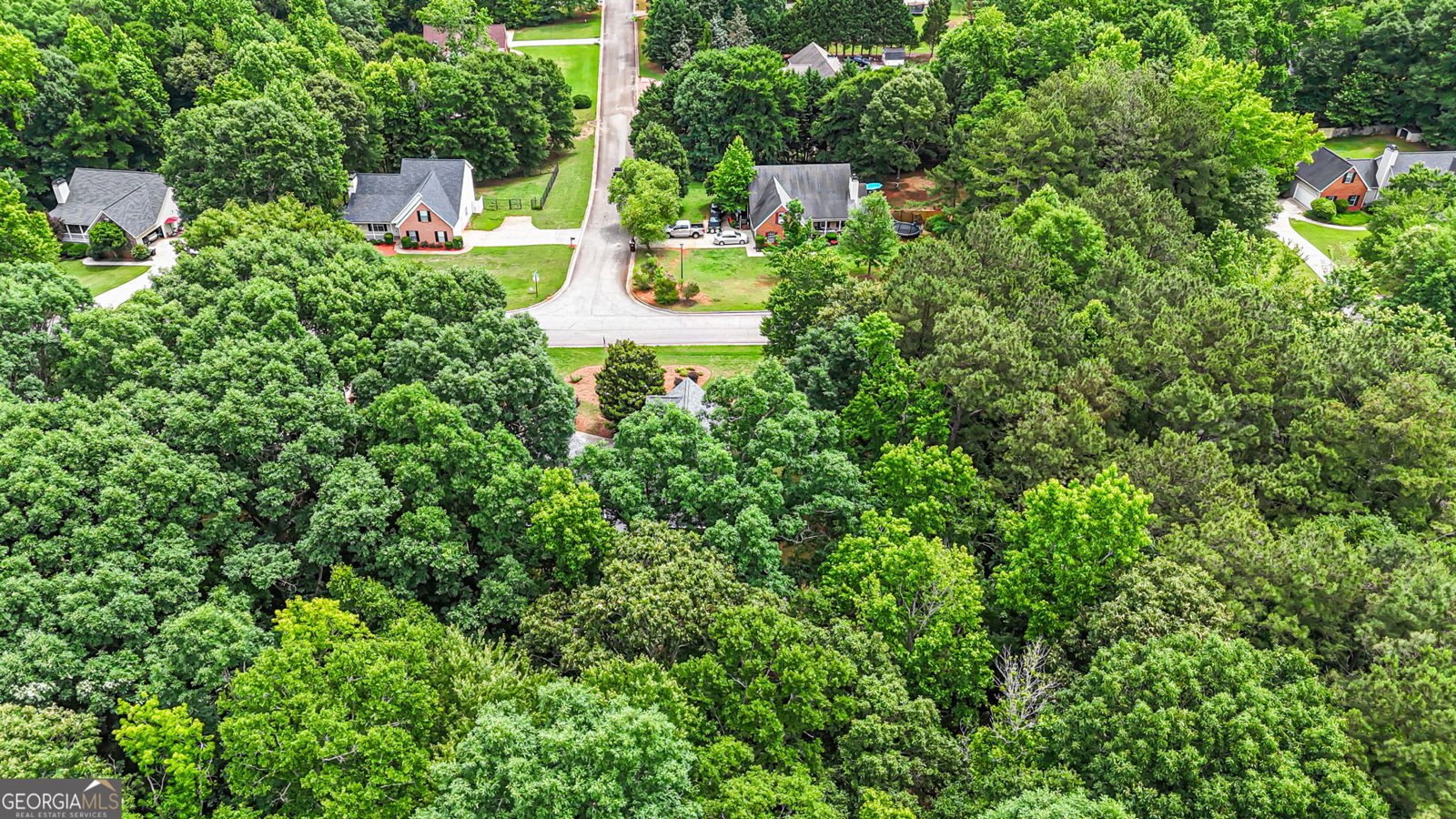 107 Rainwater Court McDonough - Photo 50