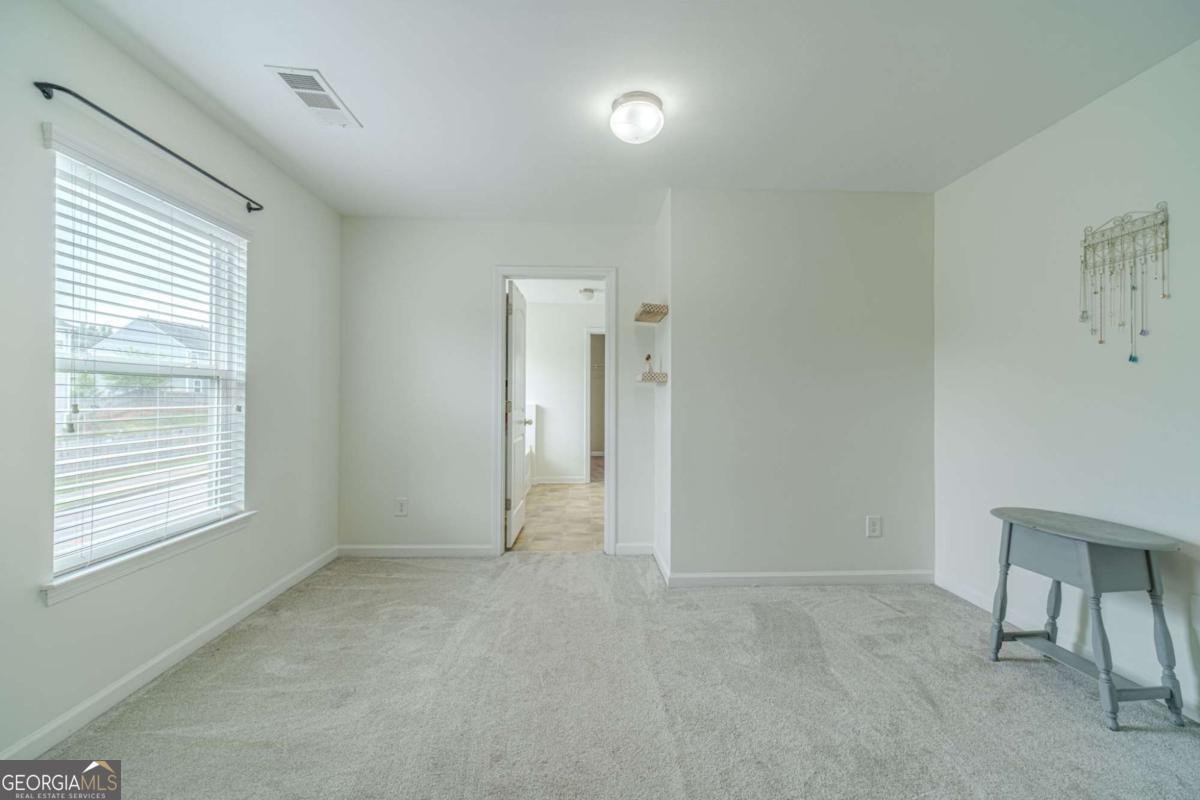 1102 Bald Eagle Trace Hoschton - Photo 21