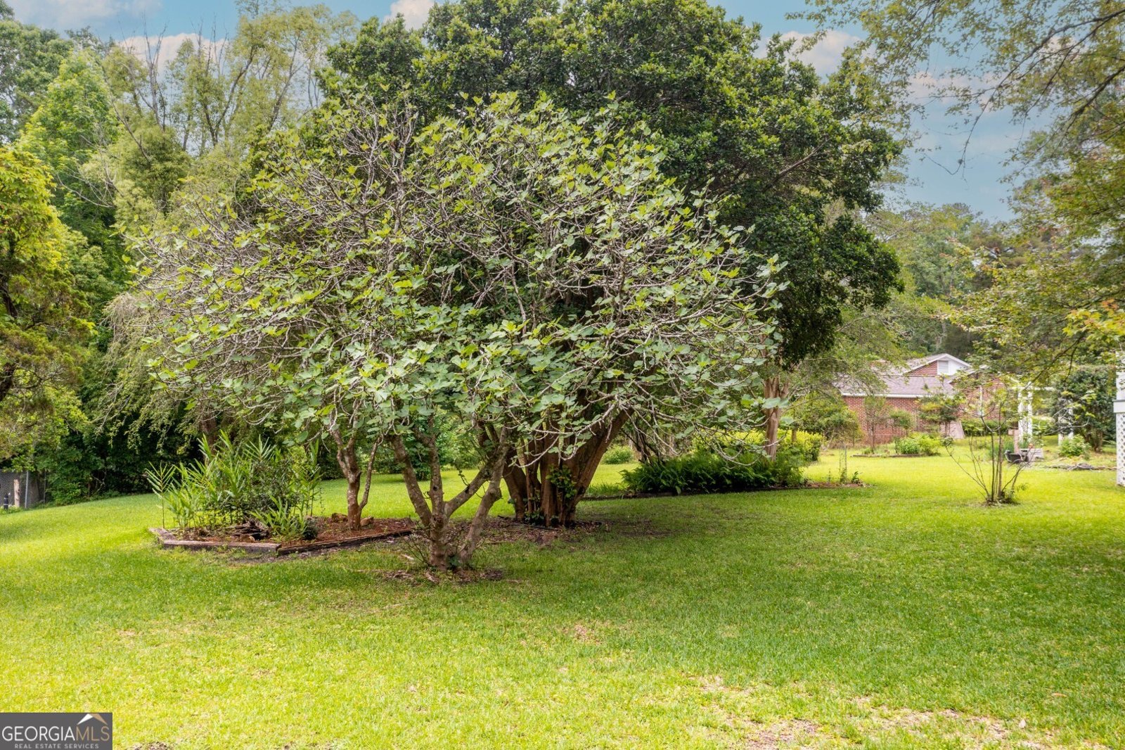 311 Hartford Road Fort Gaines - Photo 13