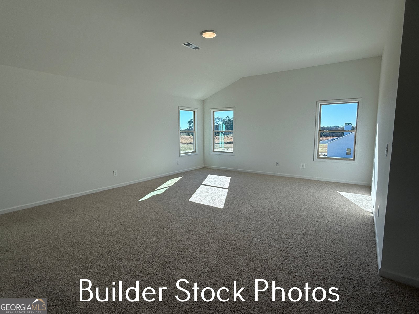 753 Hopewell Road Forsyth - Photo 41