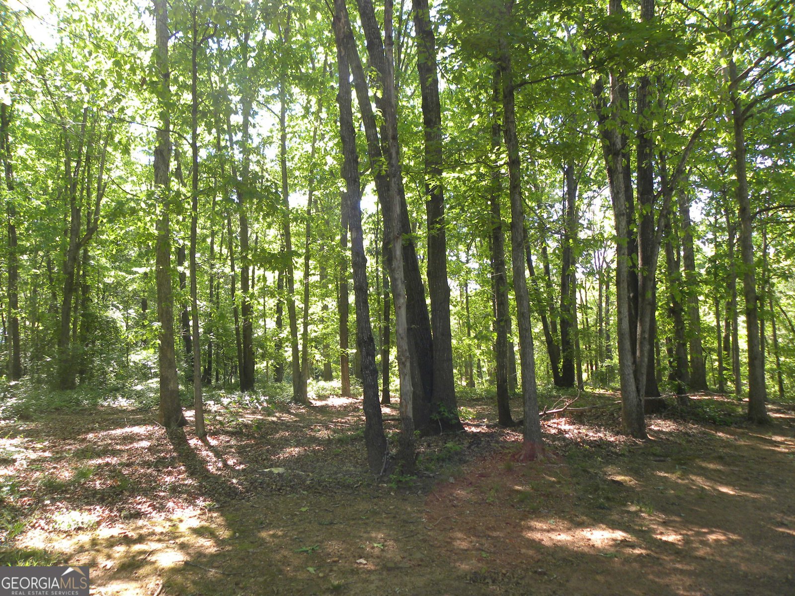 2627 Cole Road Carnesville - Photo 35