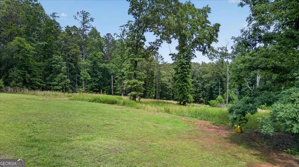 930 Dry Pond Lane Canton - Photo 39