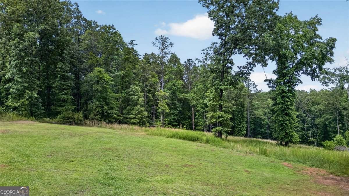 930 Dry Pond Lane Canton - Photo 40