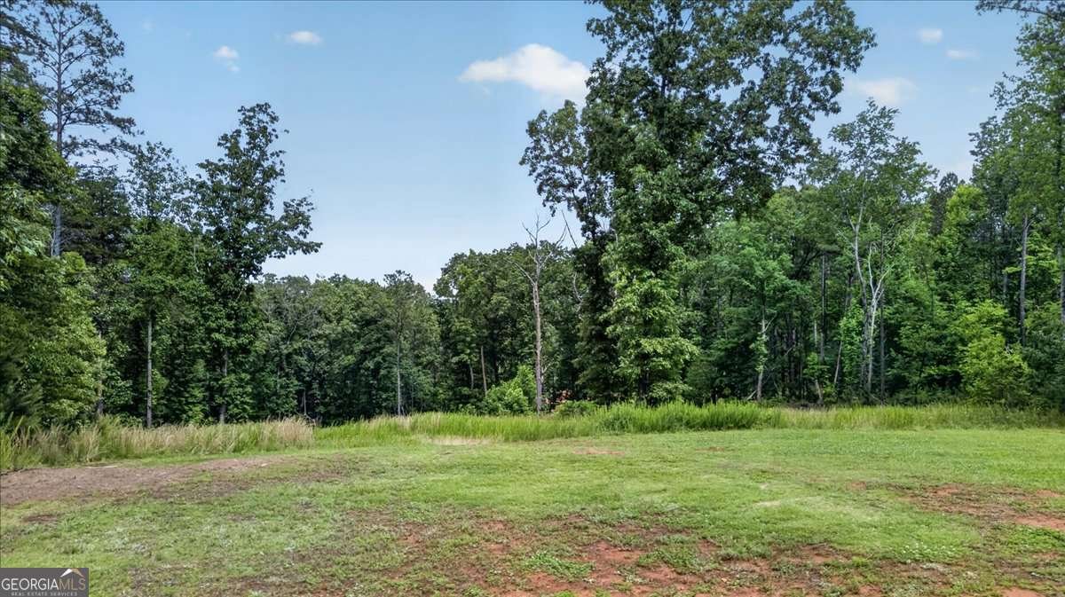 930 Dry Pond Lane Canton - Photo 41