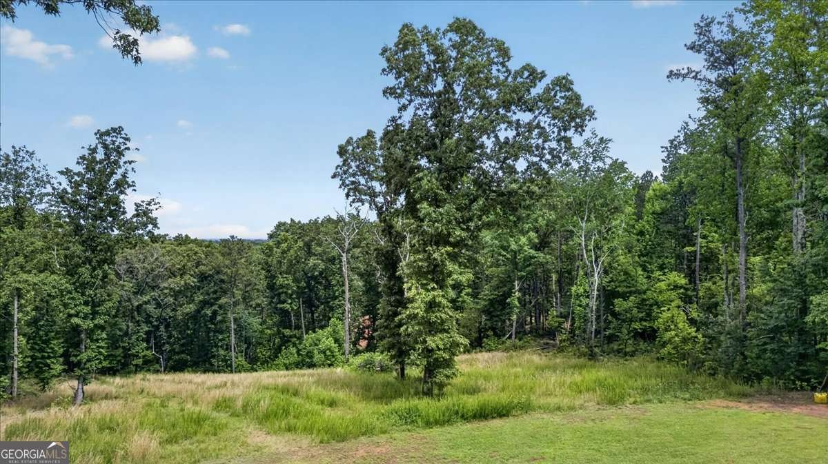 930 Dry Pond Lane Canton - Photo 42