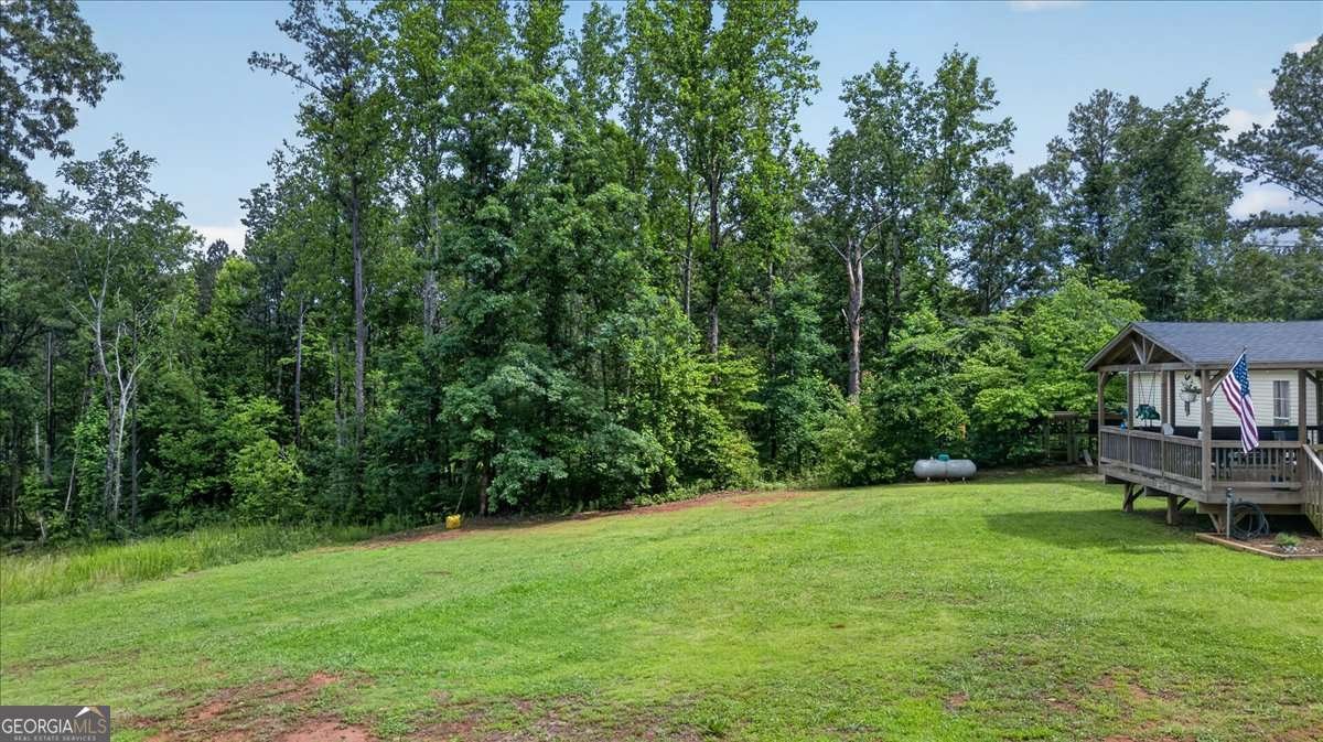 930 Dry Pond Lane Canton - Photo 43
