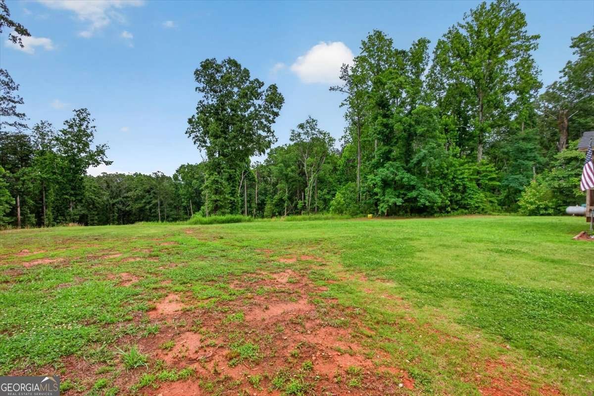 930 Dry Pond Lane Canton - Photo 45