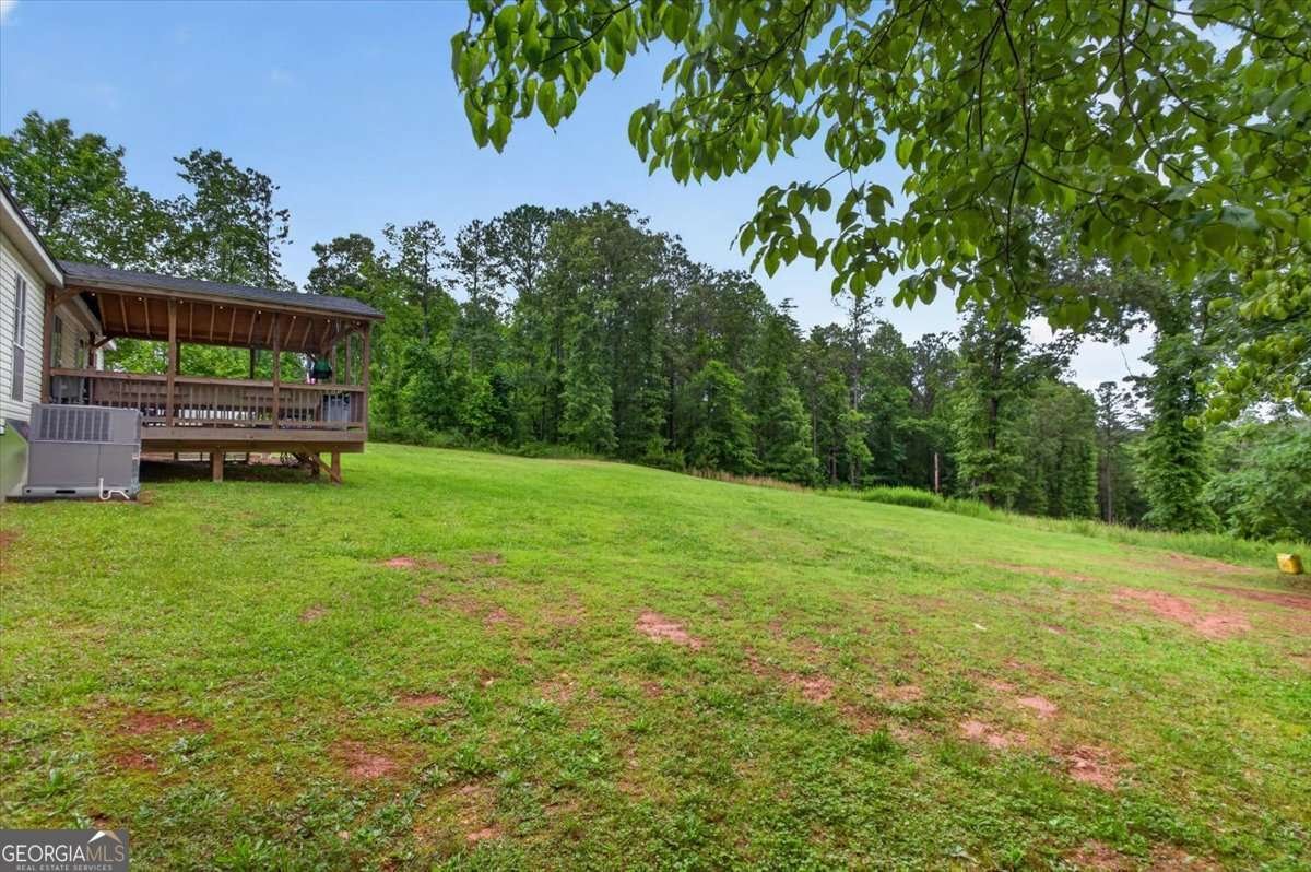 930 Dry Pond Lane Canton - Photo 47