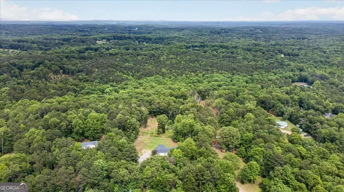 930 Dry Pond Lane Canton - Photo 48