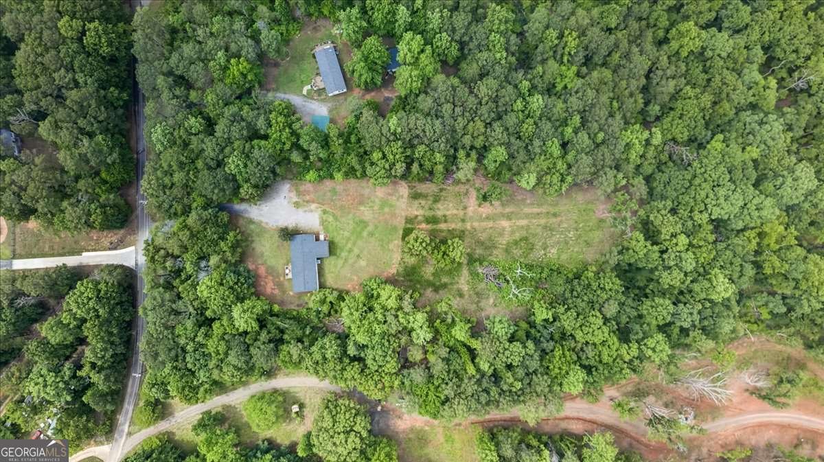 930 Dry Pond Lane Canton - Photo 49