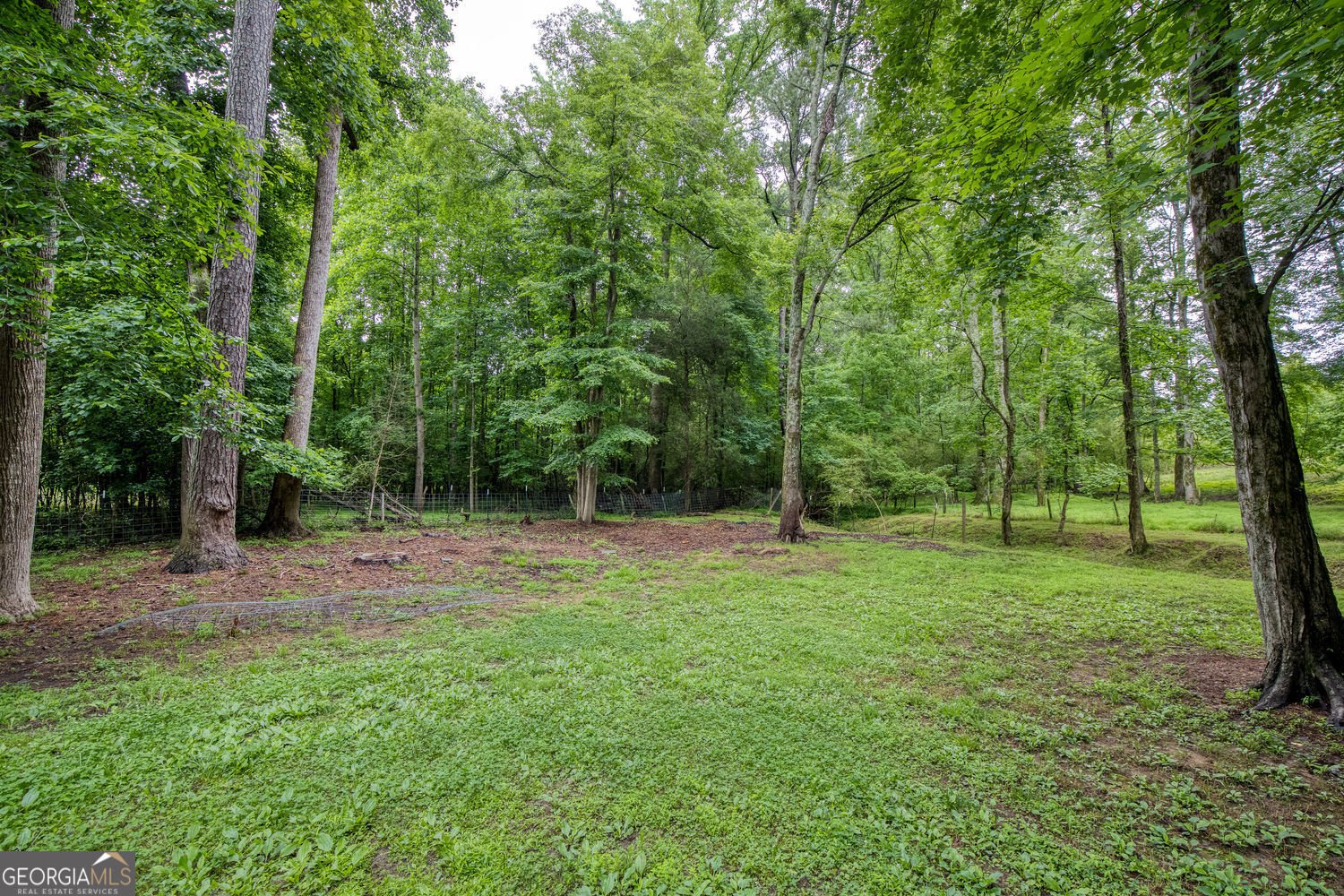 1274 Roper Road Canton - Photo 54