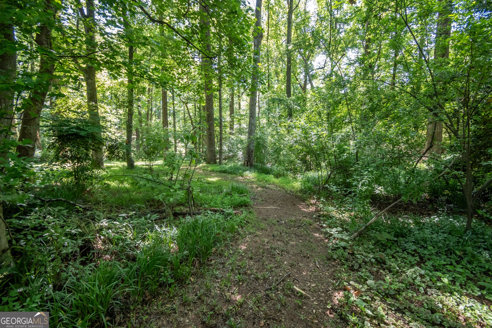1051 Crooked Creek Road Watkinsville - Photo 43