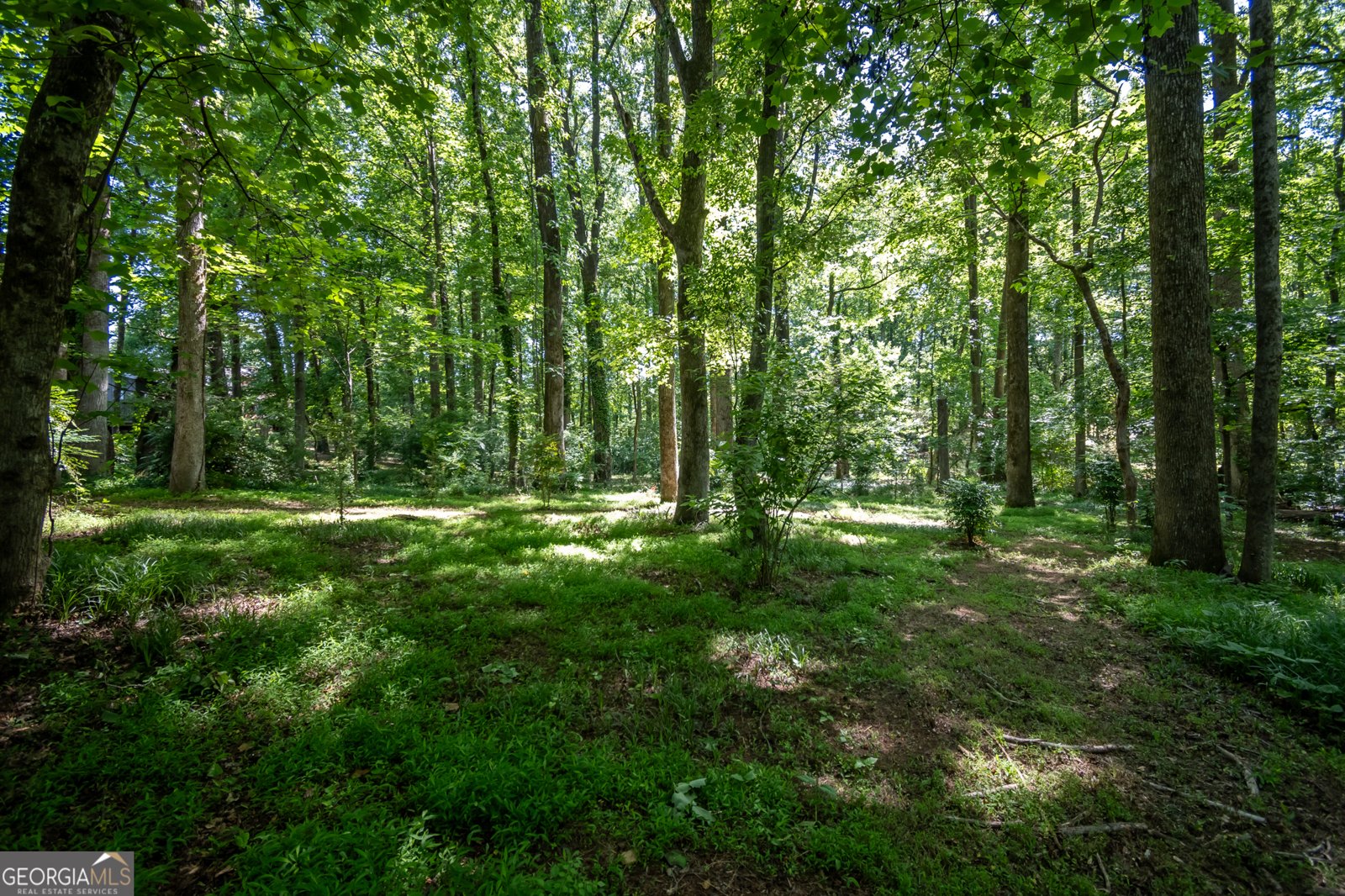 1051 Crooked Creek Road Watkinsville - Photo 47