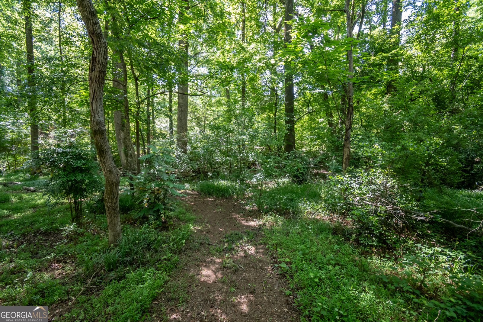 1051 Crooked Creek Road Watkinsville - Photo 48