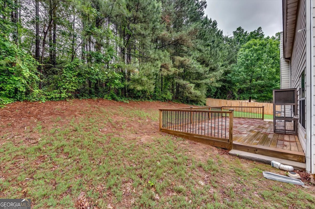 3854 Busby Mill Court Ellenwood - Photo 49