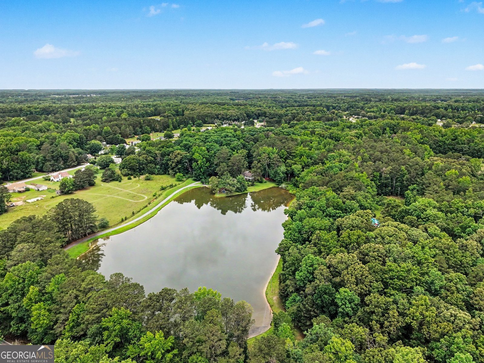 525 Lawshe Road Senoia - Photo 31