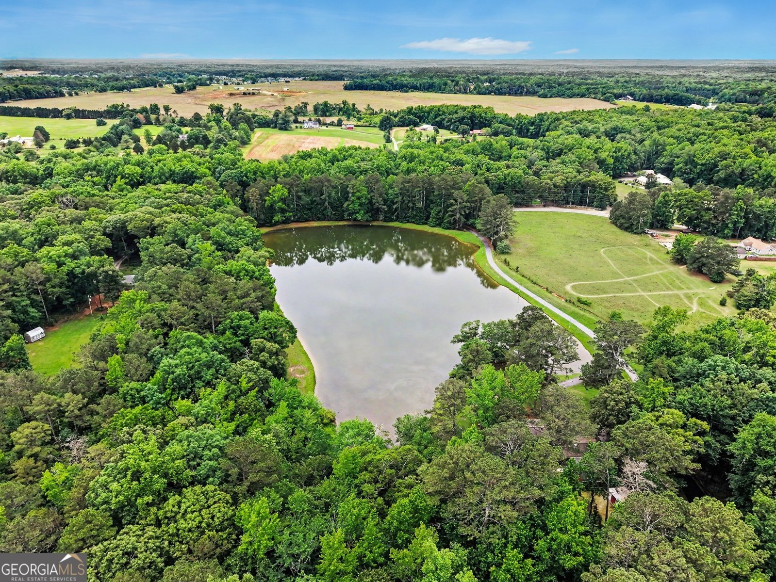 525 Lawshe Road Senoia - Photo 32