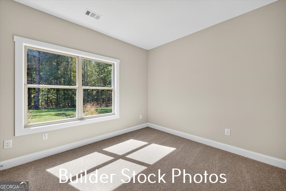 823 Hopewell Road Forsyth - Photo 17
