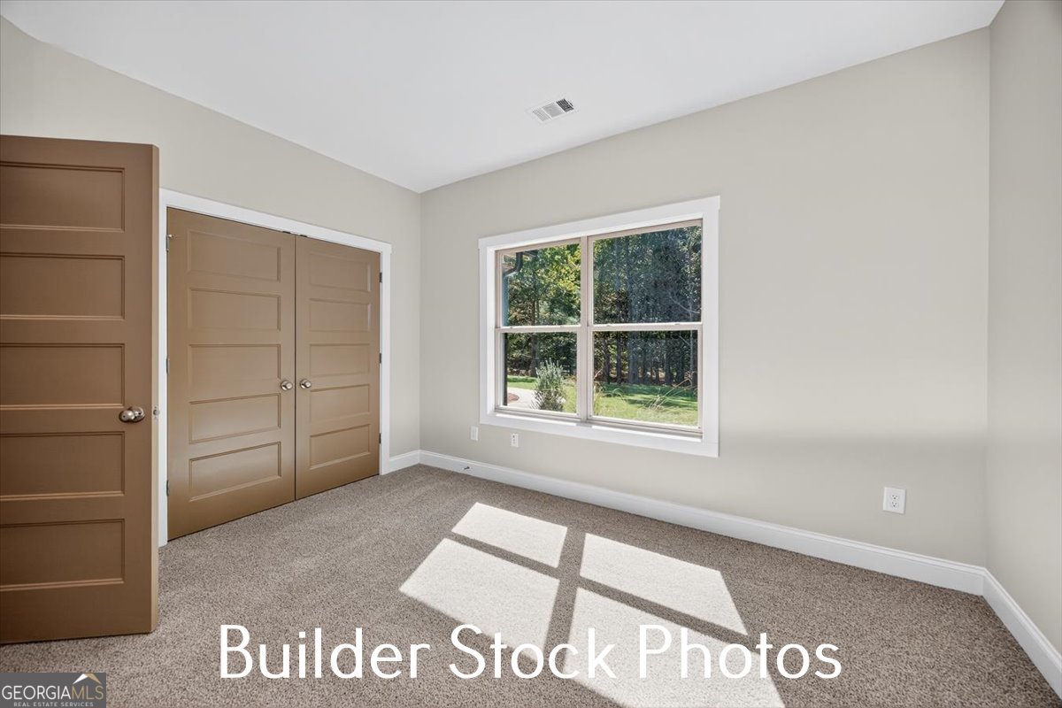 823 Hopewell Road Forsyth - Photo 18