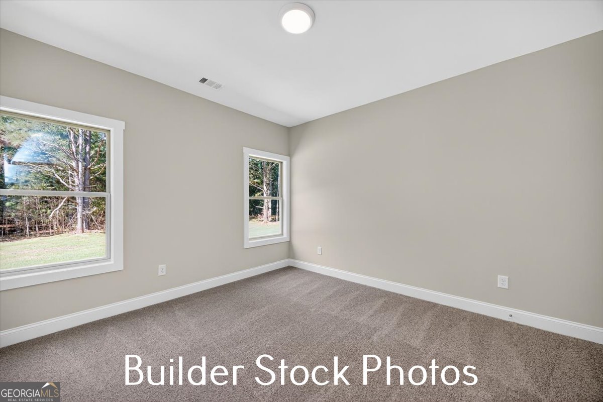 823 Hopewell Road Forsyth - Photo 20