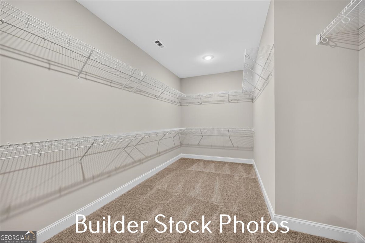 823 Hopewell Road Forsyth - Photo 30