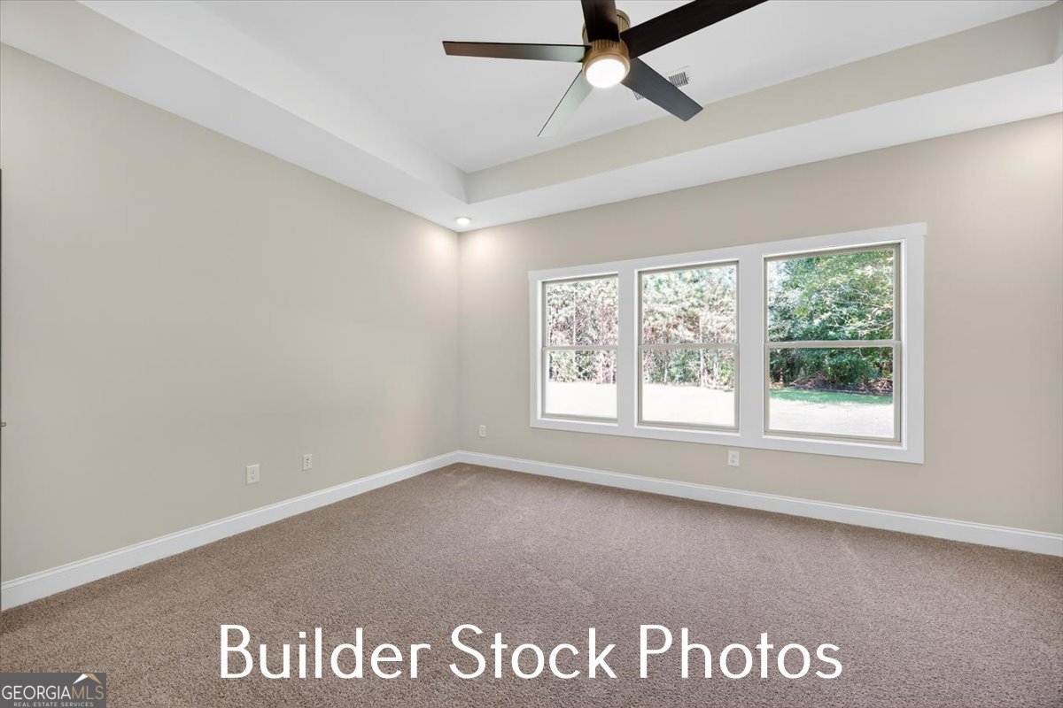 823 Hopewell Road Forsyth - Photo 31