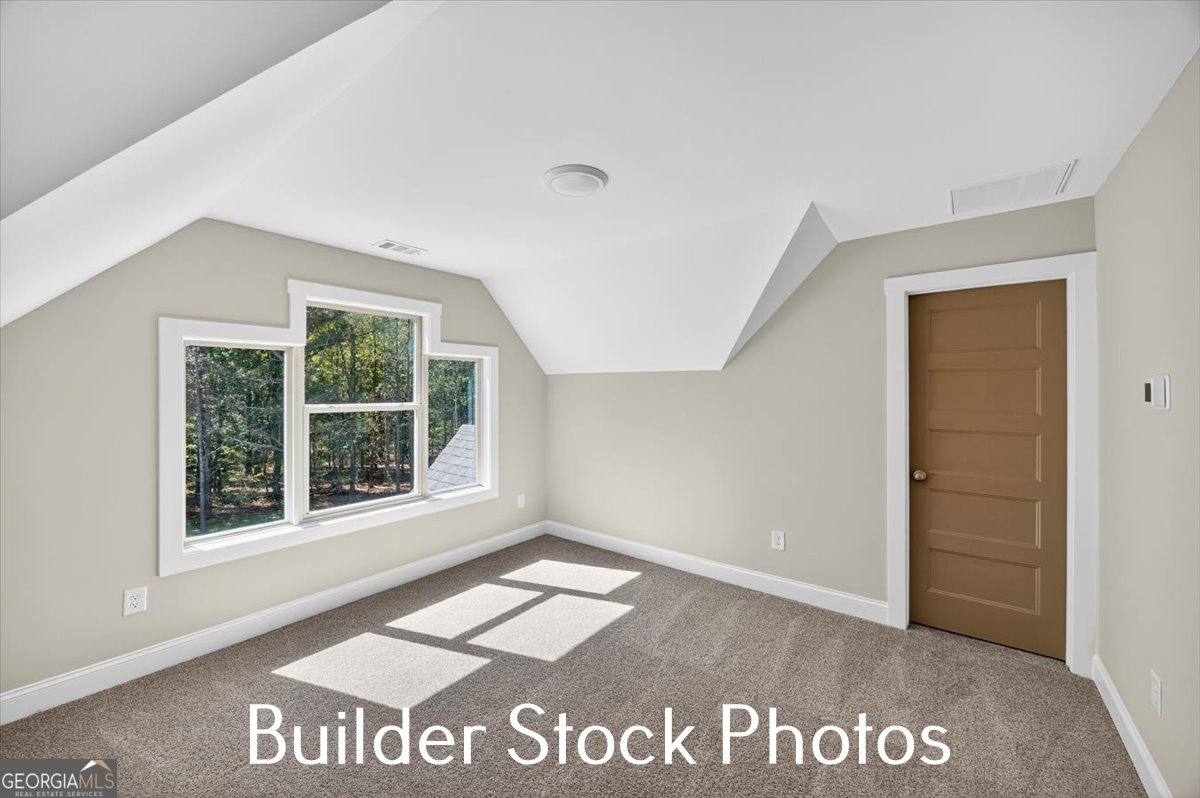 823 Hopewell Road Forsyth - Photo 33