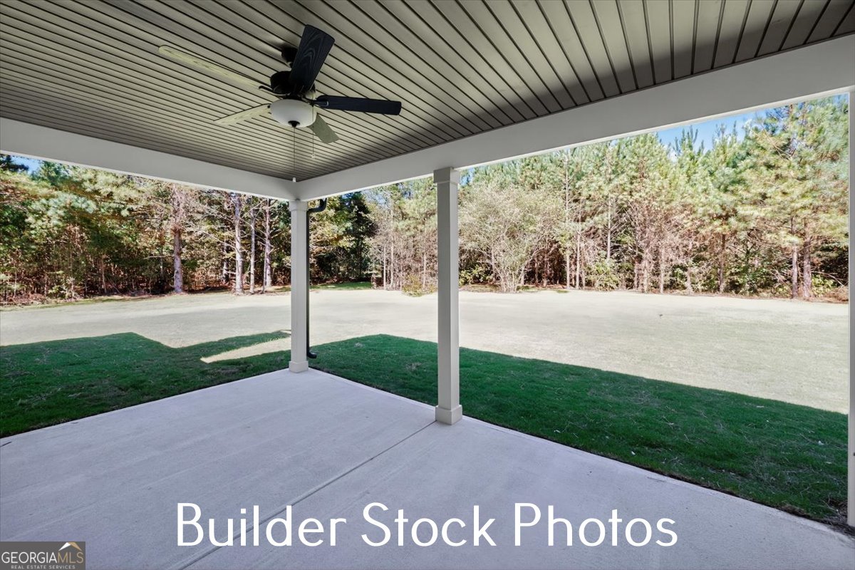 823 Hopewell Road Forsyth - Photo 37