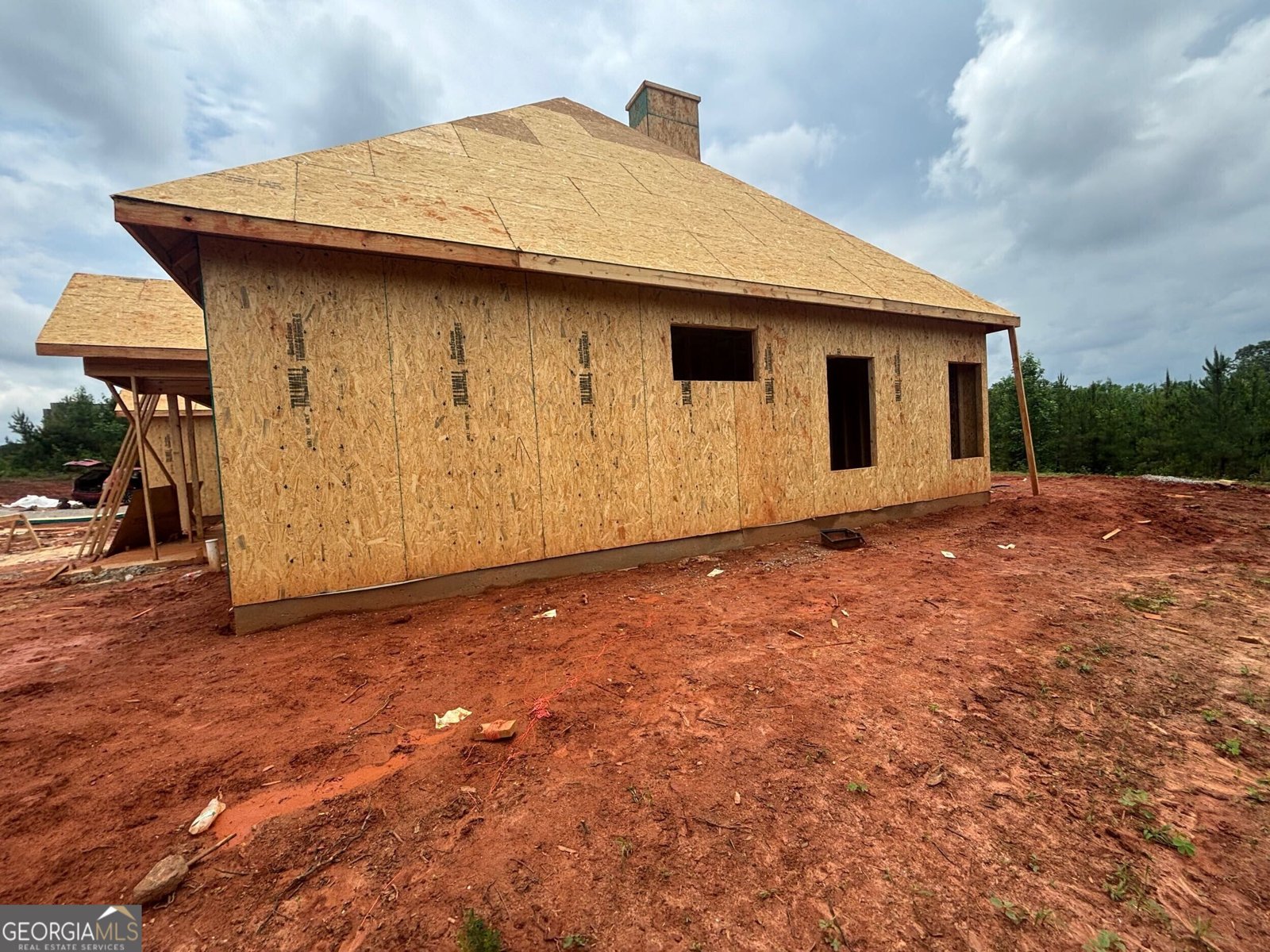 823 Hopewell Road Forsyth - Photo 44