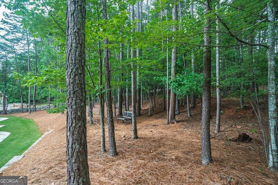 497 Oak Forest Drive Dawsonville - Photo 39