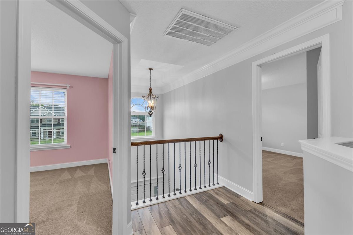 57 Red Rock Court Ludowici - Photo 39