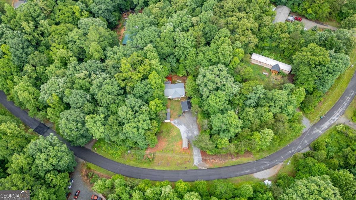 599 Iberian Road Dahlonega - Photo 32