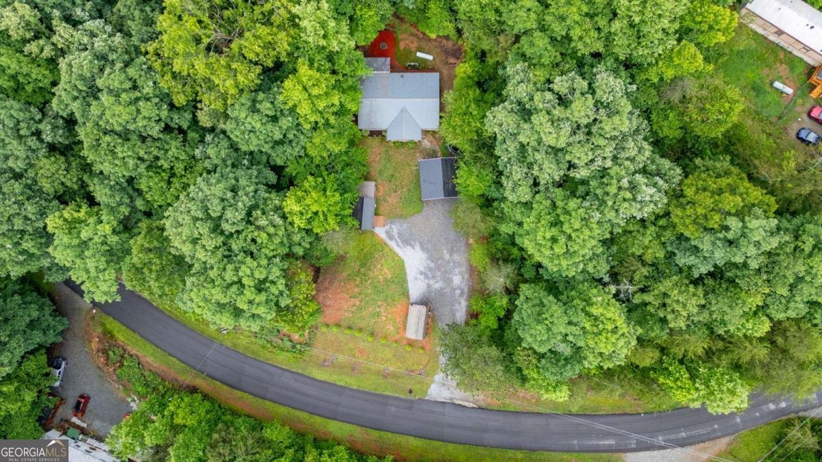 599 Iberian Road Dahlonega - Photo 33