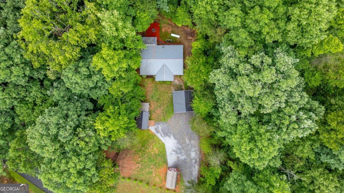 599 Iberian Road Dahlonega - Photo 34