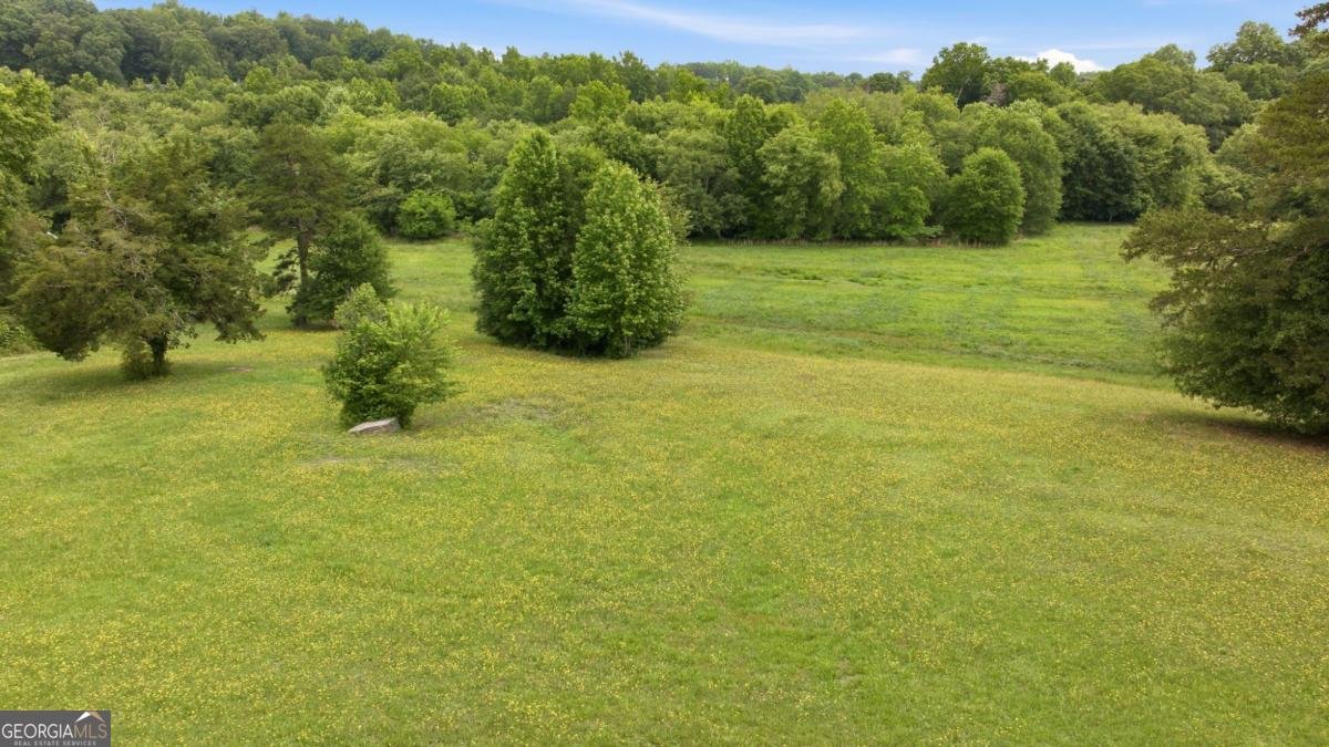 1173 Dee Kennedy Road Auburn - Photo 53