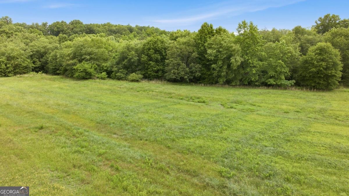 1173 Dee Kennedy Road Auburn - Photo 59