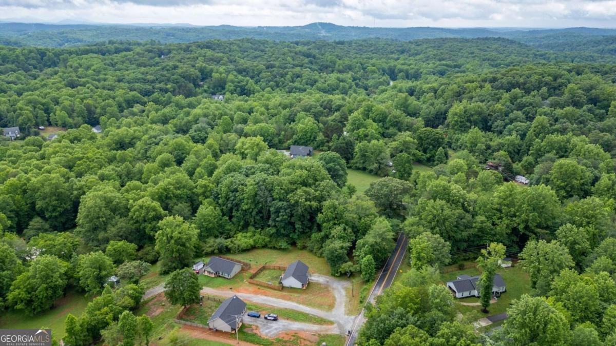 118 Wash Rider Road Dahlonega - Photo 30